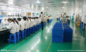 一呼百應，賦能裝飾材料新未來——探索公司頻道的行業價值
